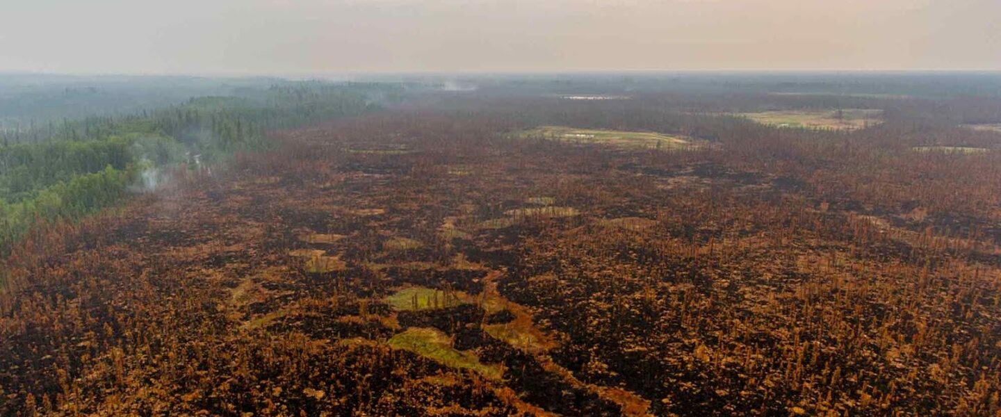 Moose Creek Fire, Denali National Park, AK, 2015