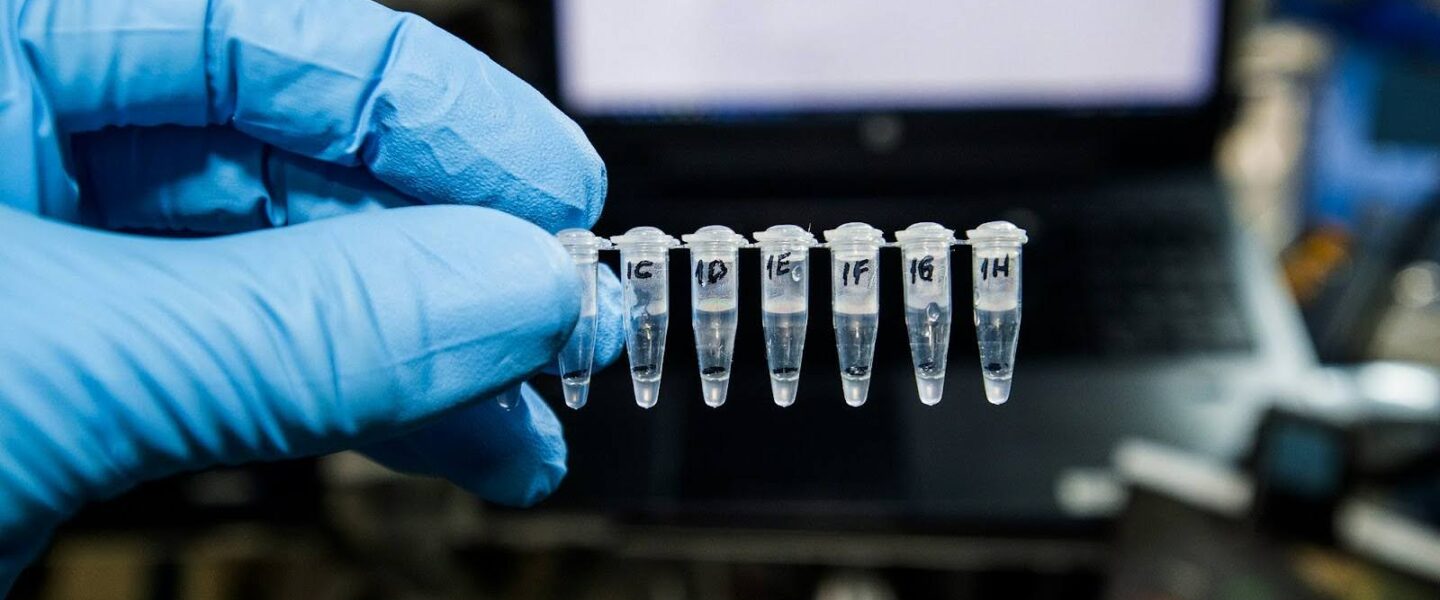 Climate crisis, global warming, evolution, ecosystems, conservation genomics