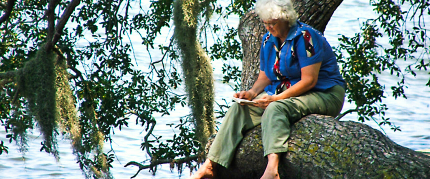 science, nature, mental health, chaotic news cycle, stress relief, forest bathing