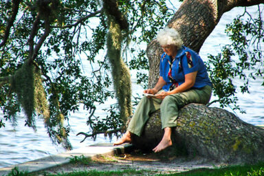 science, nature, mental health, chaotic news cycle, stress relief, forest bathing