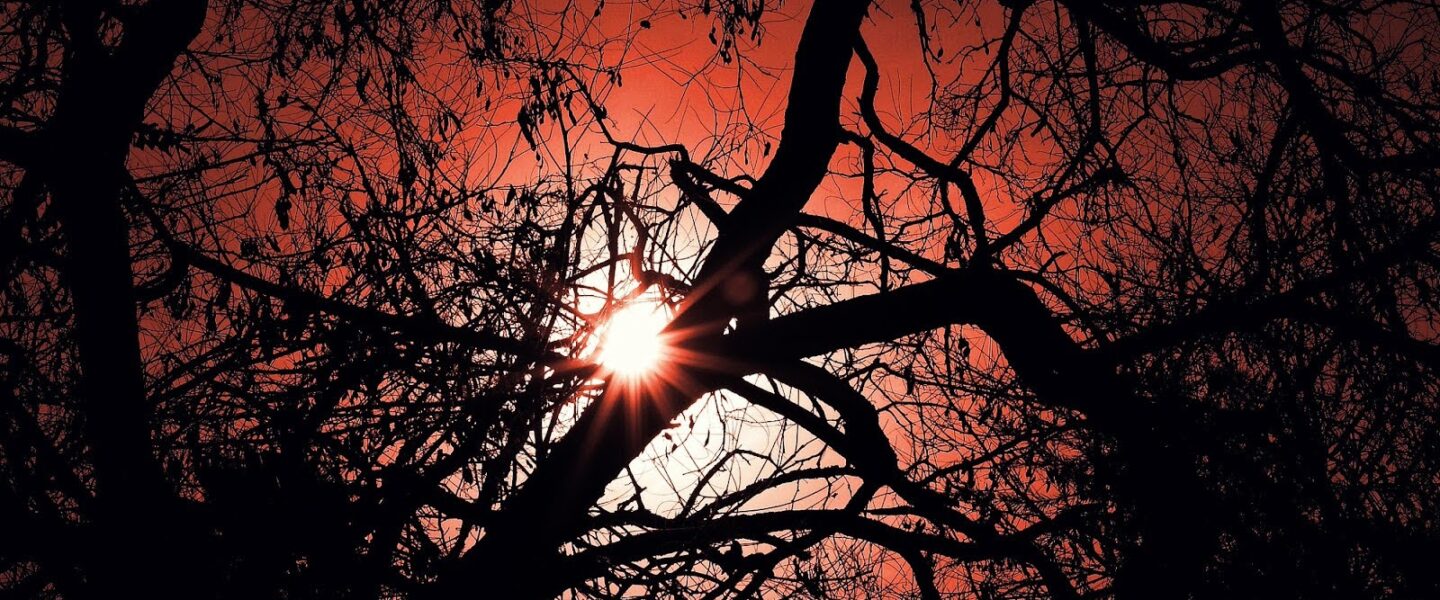 science, Earth, ozone layer depletion, recovery, Montreal Protocol, industrial chemicals, MIT finding