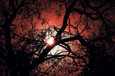 science, Earth, ozone layer depletion, recovery, Montreal Protocol, industrial chemicals, MIT finding