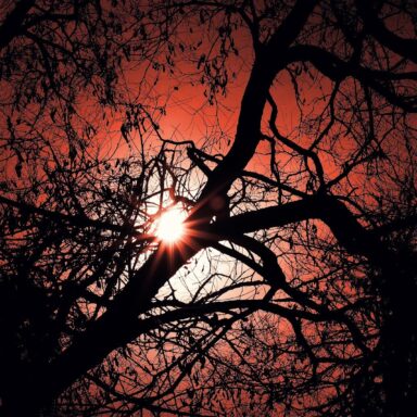 science, Earth, ozone layer depletion, recovery, Montreal Protocol, industrial chemicals, MIT finding