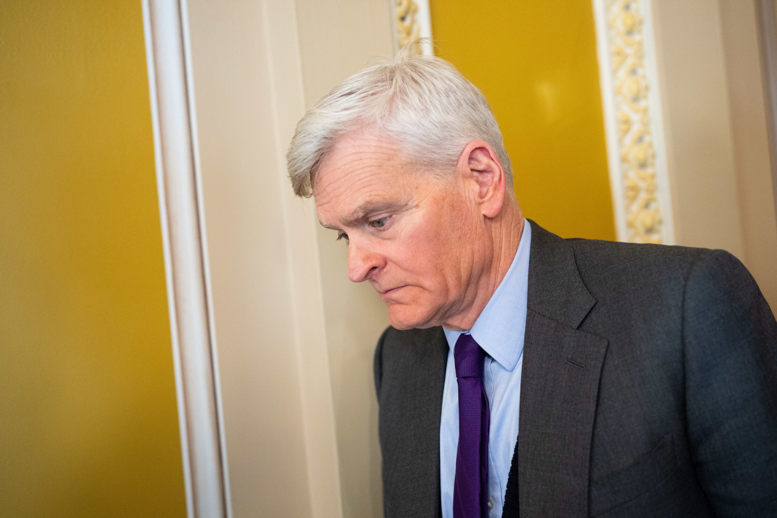 Image Name (title): Bill Cassidy, Senate