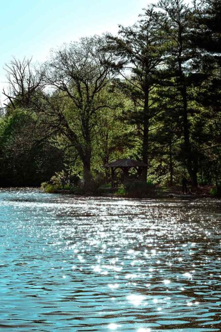 creeks, Prospect Park, New York City, Spring 2026