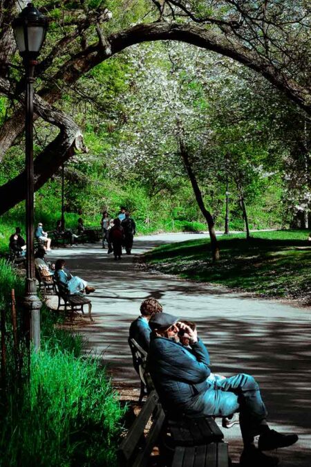 paths, Prospect Park, New York City, Spring 2026