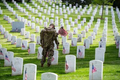 soldier, 3rd US Infantry Regiment, American flags, Arlington National Cemetery