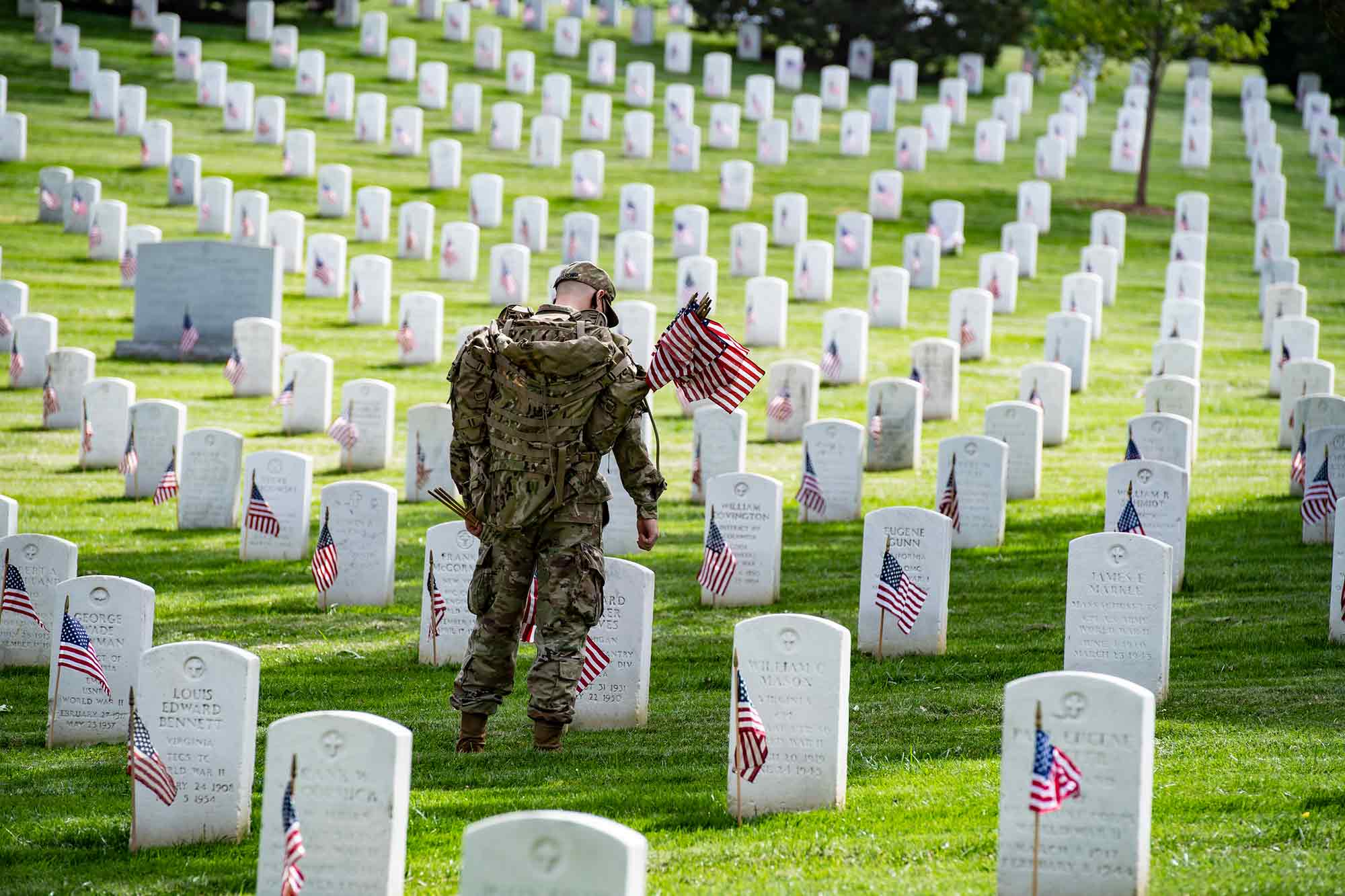soldier, 3rd US Infantry Regiment, American flags, Arlington National Cemetery