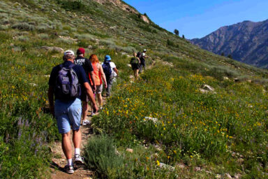 Conservation, U.S. cultural resource protection, Public Lands Rule rollback, management, mining and development
