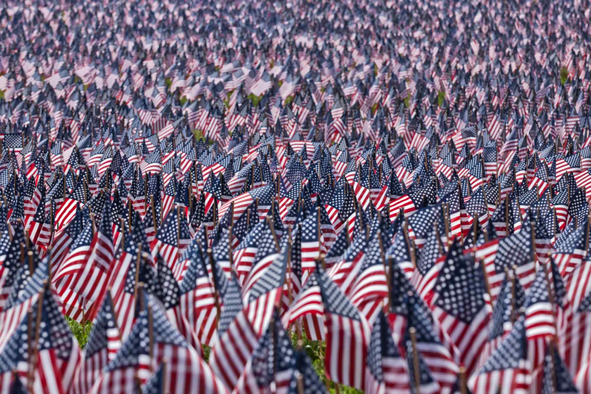 33,000 American Flags, Boston Common