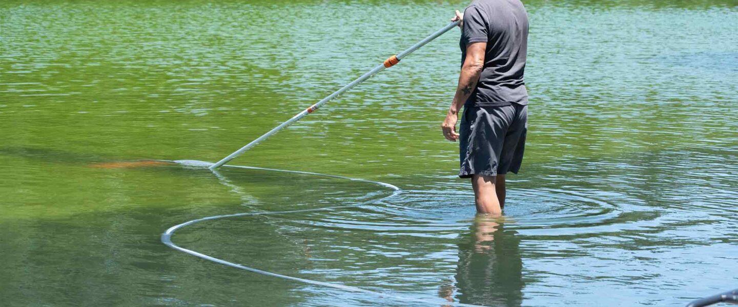Algae bloom, Lincoln Memorial, Reflecting Pool