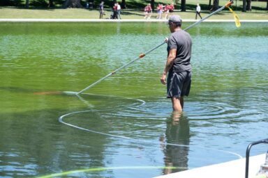 Trump Goes Off the Deep End of the Reflecting Pool Algae bloom, Lincoln Memorial, Reflecting Pool