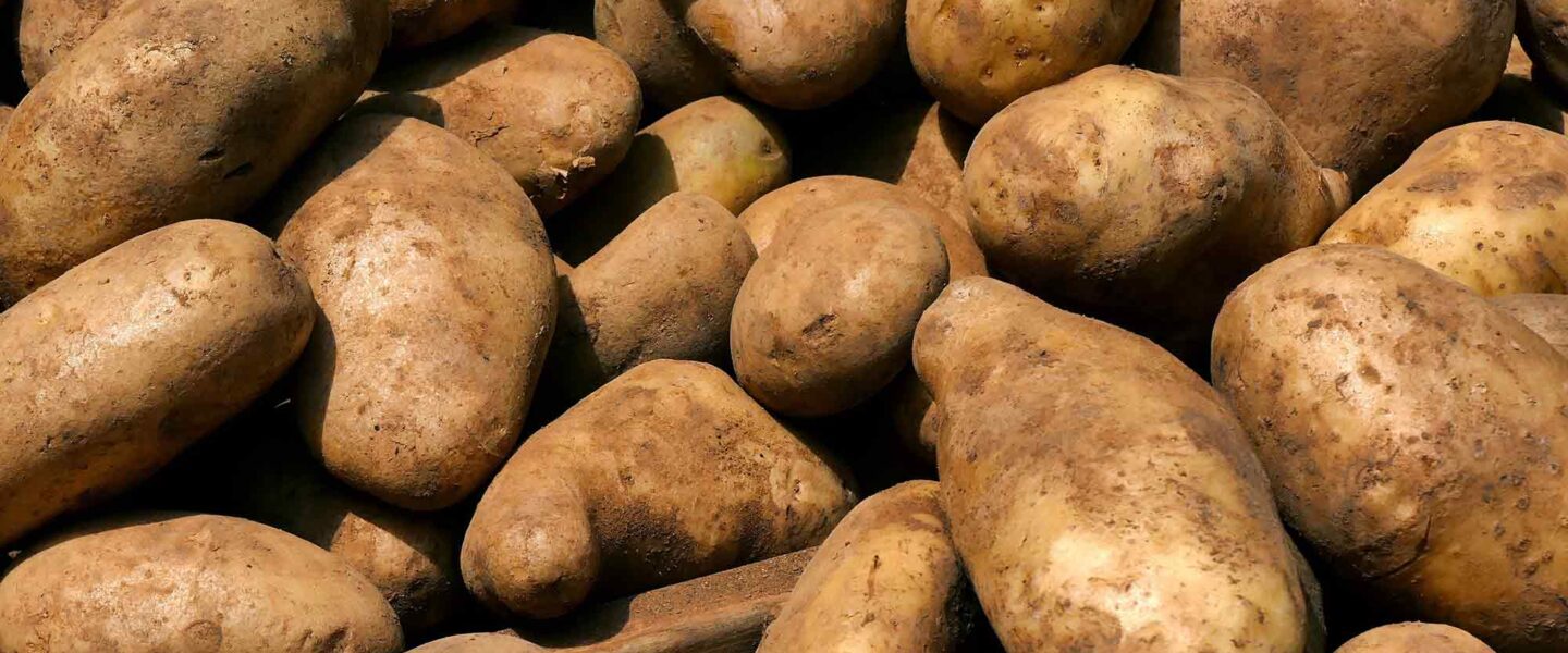 Potatoes
