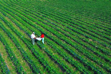 Saturday Hashtag: #MonocultureFruit USDA NRCS employee, landowner, strawberry fields, Monterey County, CA