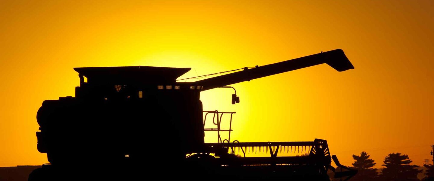Soybean harvest. sunset