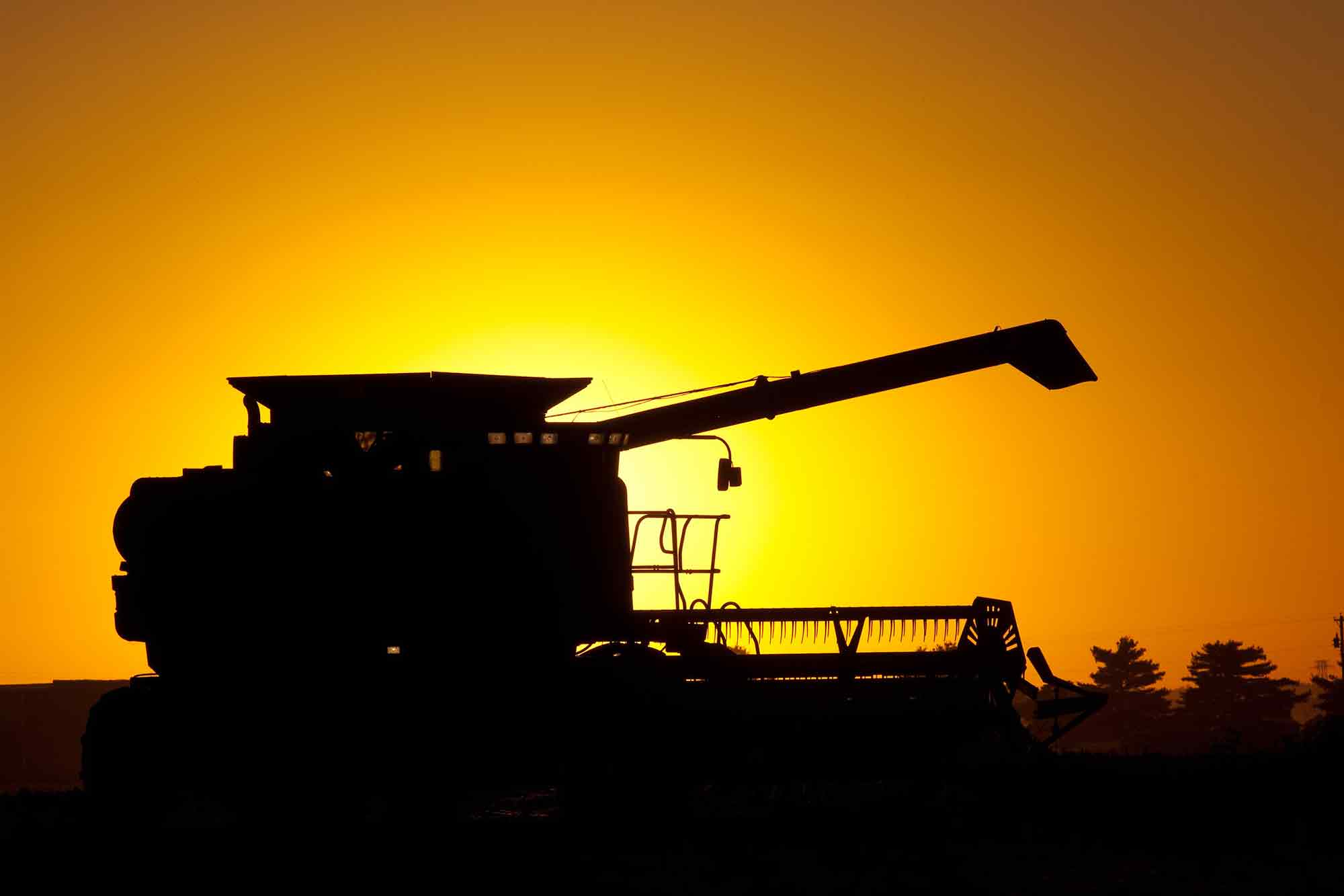 Soybean harvest. sunset