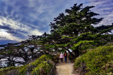 Big tech, data centers, California, Monterey Park, permanent ban, ballot initiative
