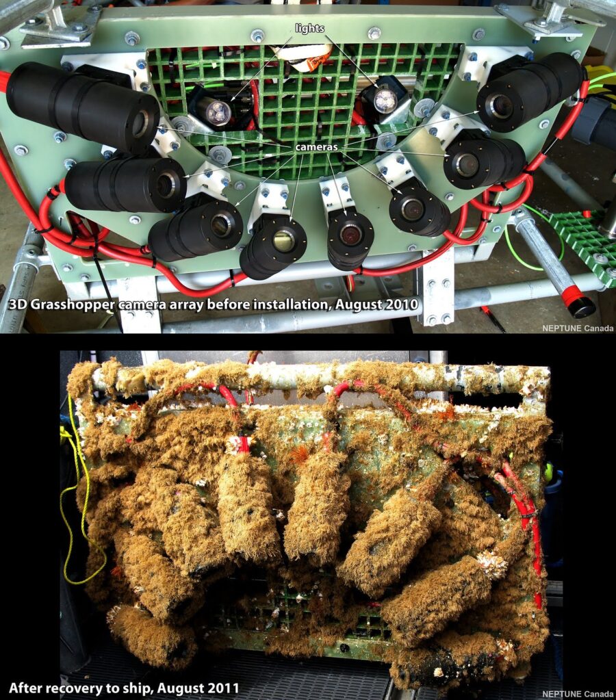 3D camera array, before and after