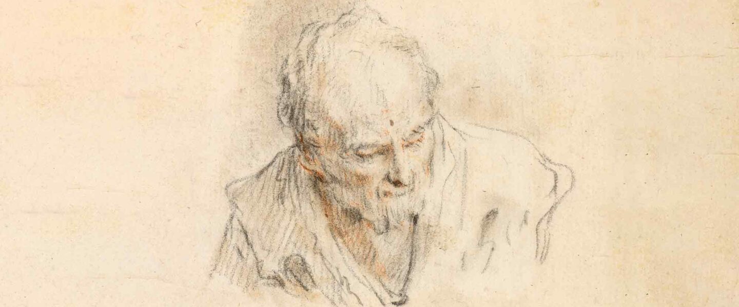 Head of an Old Man, Sebastiano Ricci
