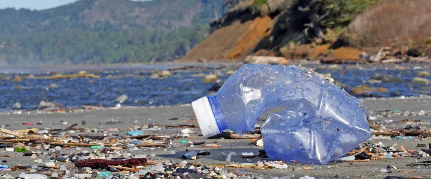 Plastic debris, Beverly Beach, Oregon coast
