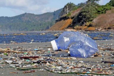 Plastic debris, Beverly Beach, Oregon coast