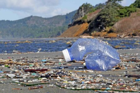 Plastic debris, Beverly Beach, Oregon coast