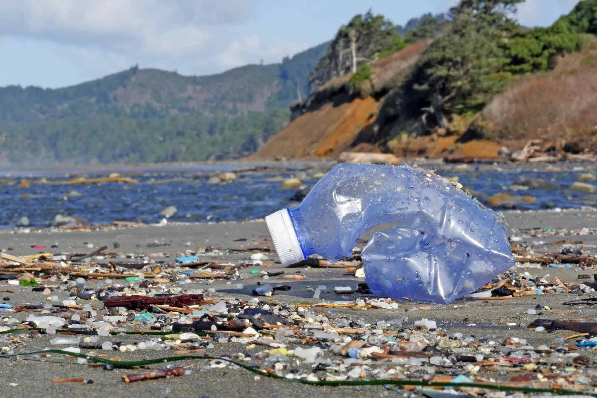 Plastic debris, Beverly Beach, Oregon coast