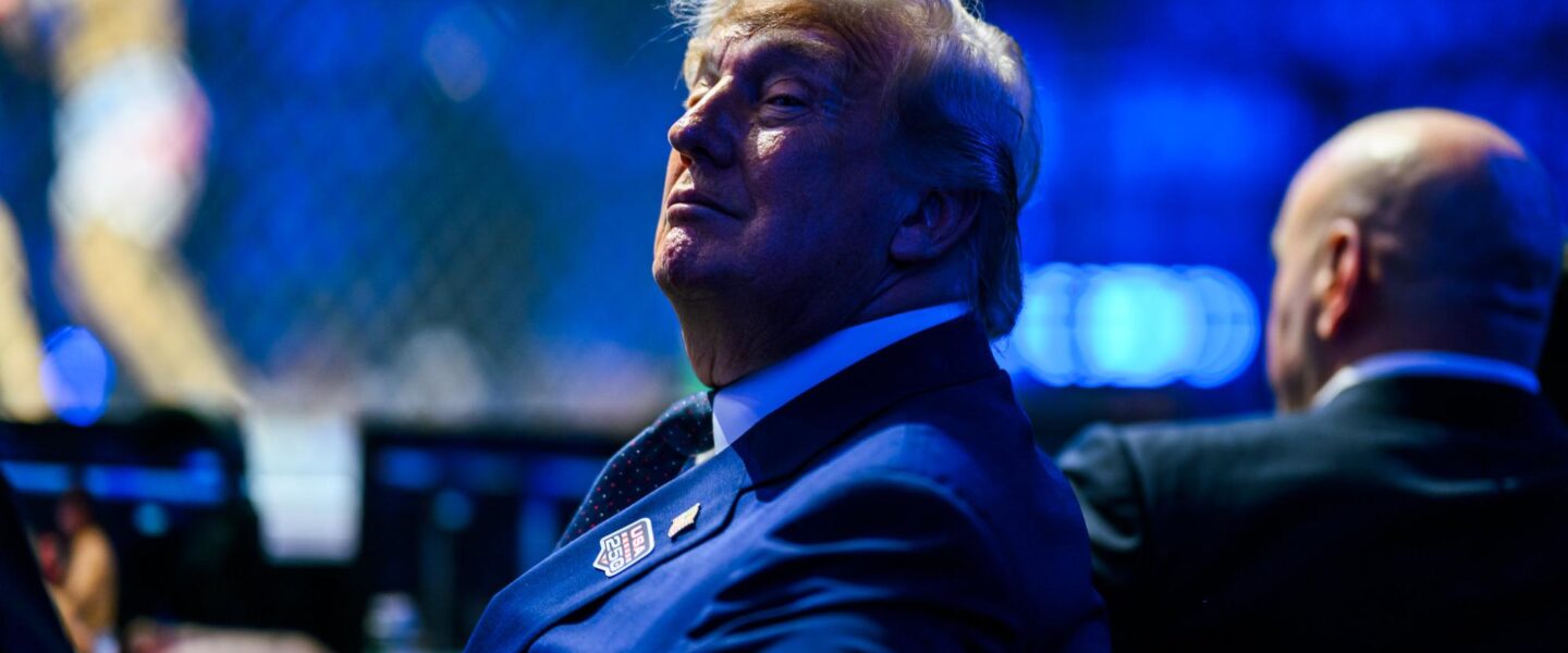 President, Donald Trump, UFC Freedom 250, Ultimate Fighting Championship,