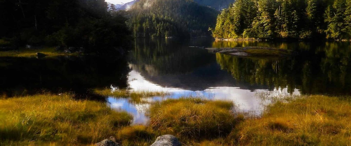 Takatz Bay, Baranof Island, AK