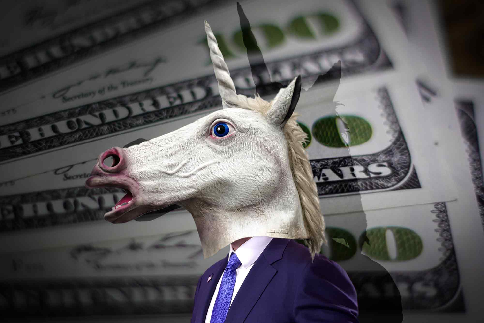 private company, unicorn