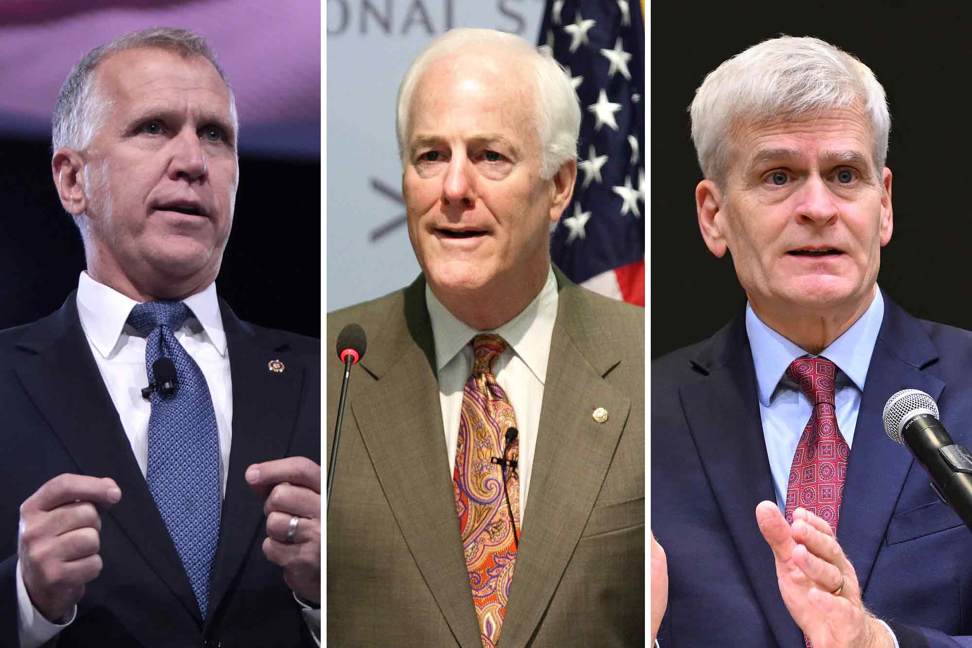 Thom Tillis, John Cornyn, Bill Cassidy