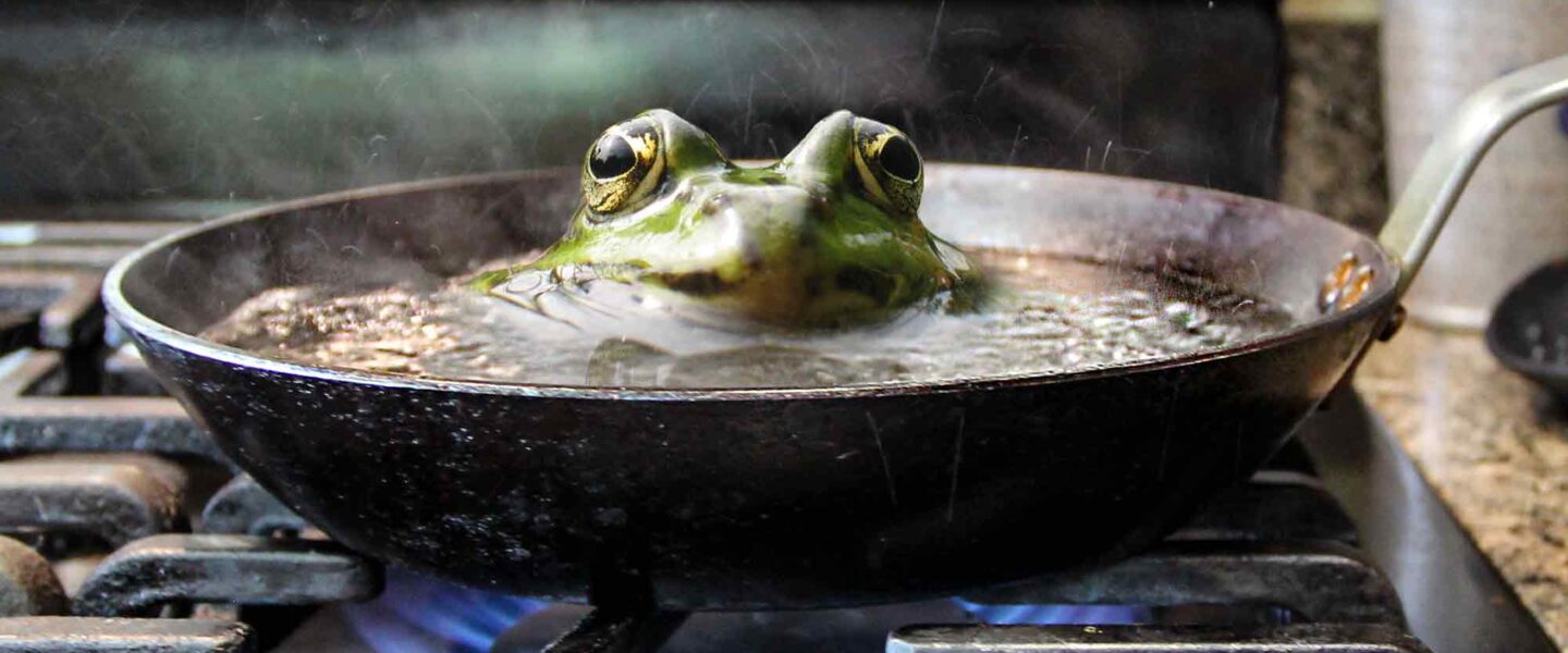 boiling frog