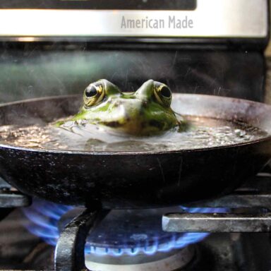boiling frog