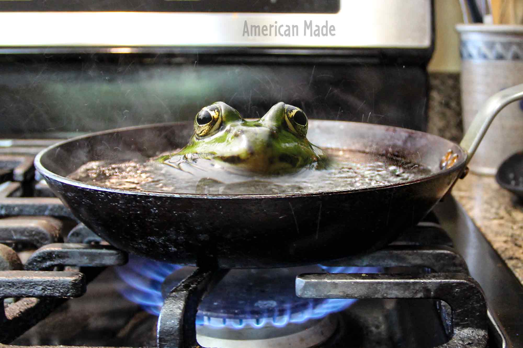 boiling frog