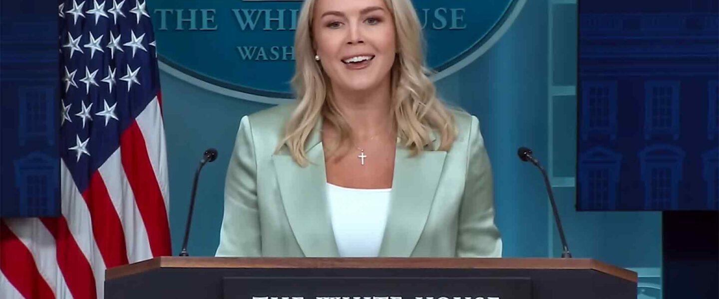 Karoline Leavitt, briefs, media