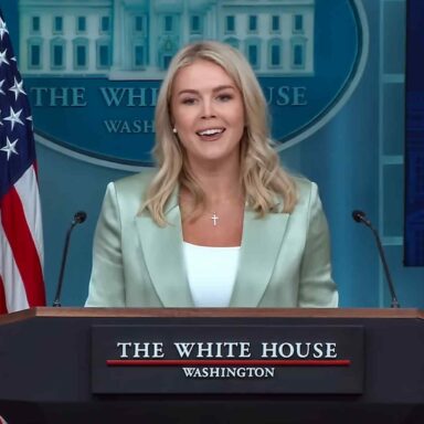 Karoline Leavitt, briefs, media