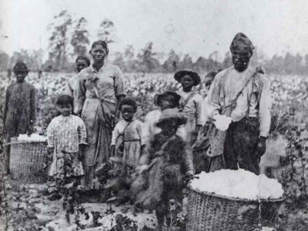 Family, enslaved black Americans, picking cotton